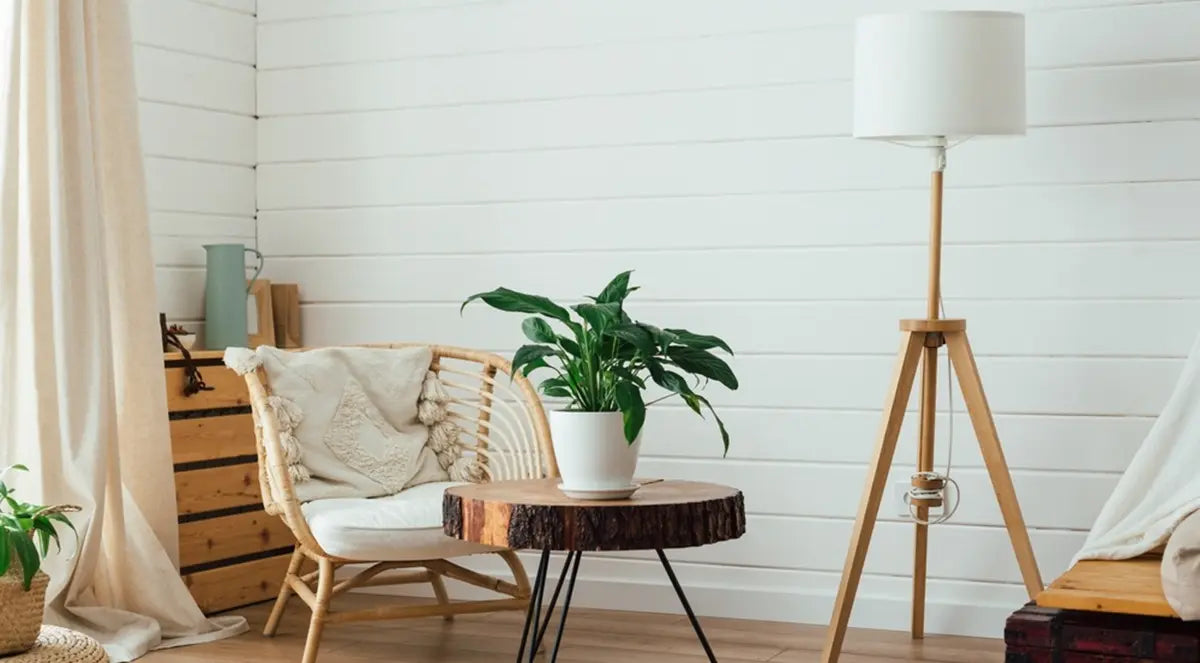 Rattan armchair and floor lamp in living room