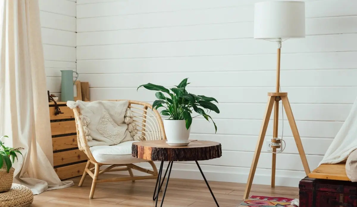 wood floor lamp in living room interior with plants