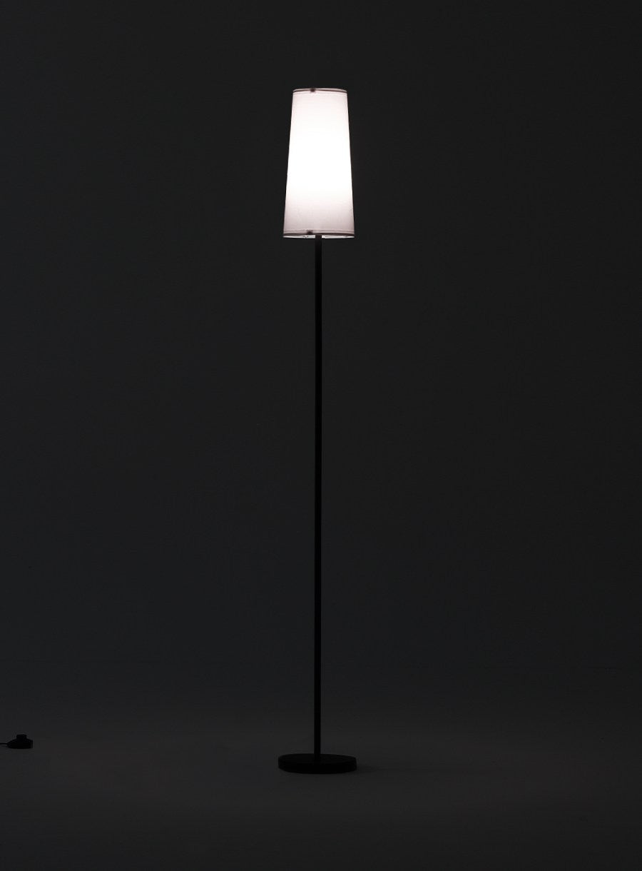 Modern arched floor lamp in a contemporary style